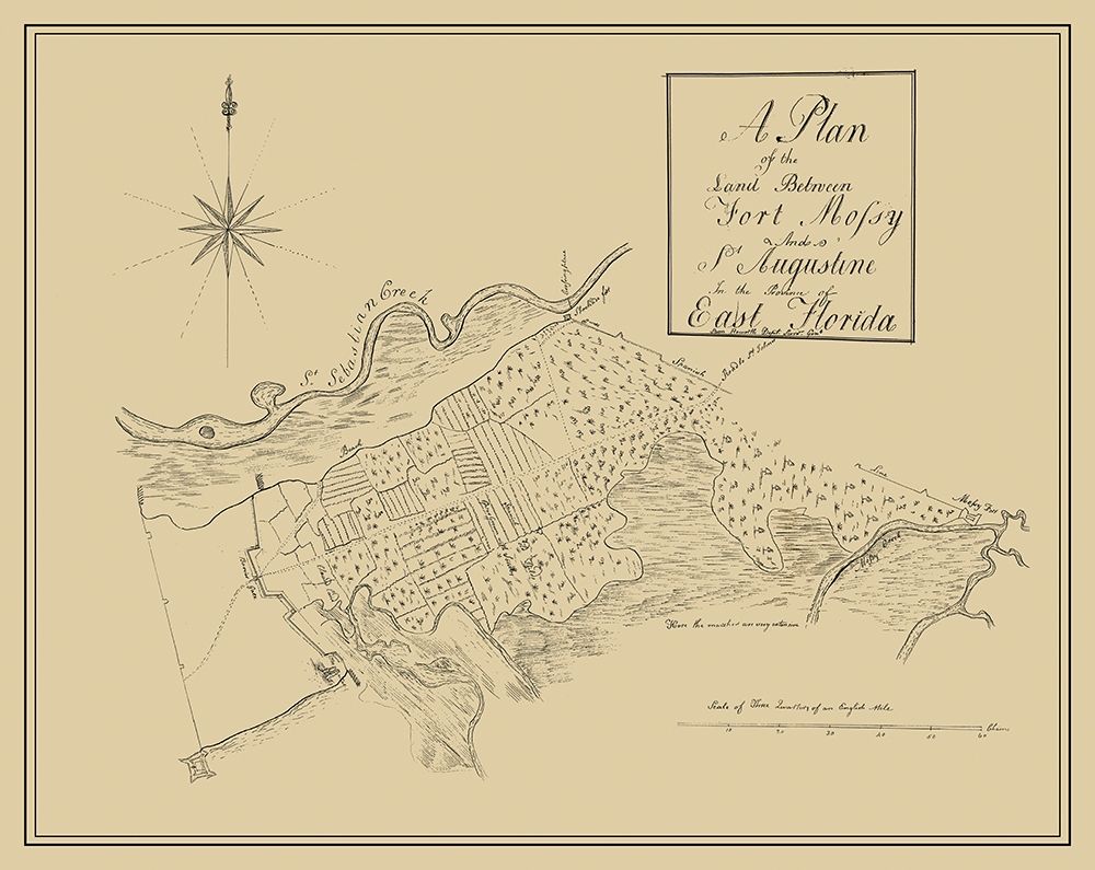 Plan Fort Mossy St Augustine Florida - Roworth art print by Roworth for $57.95 CAD