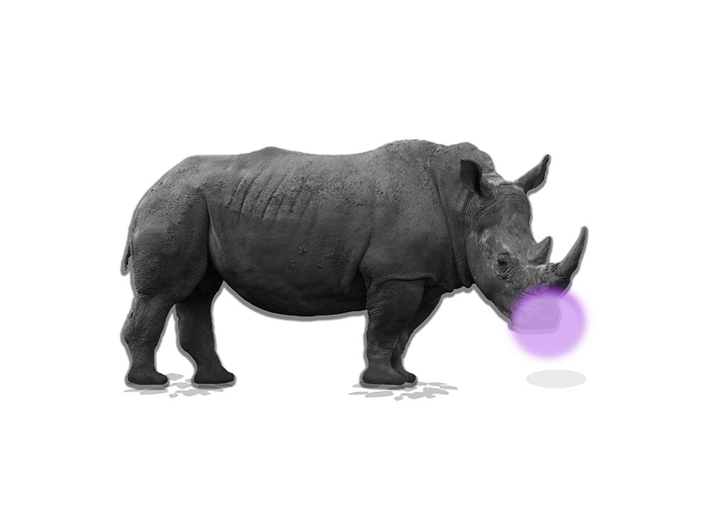 Rhino Bubble art print by Jamie Phillip for $57.95 CAD