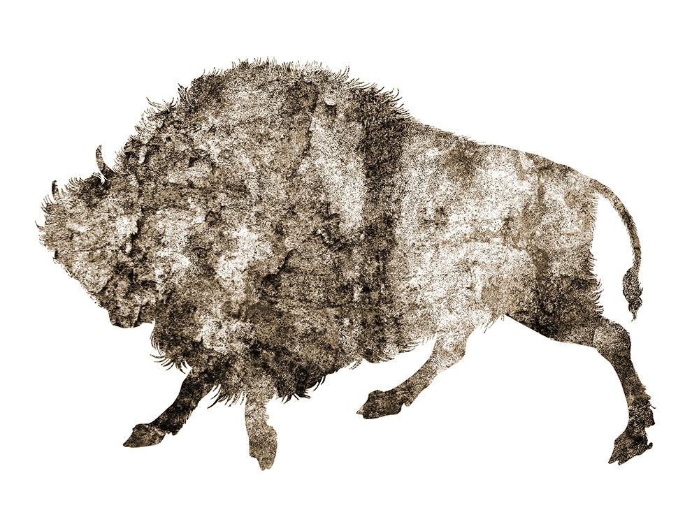 Rustic Bison 3 art print by Jamie Phillip for $57.95 CAD