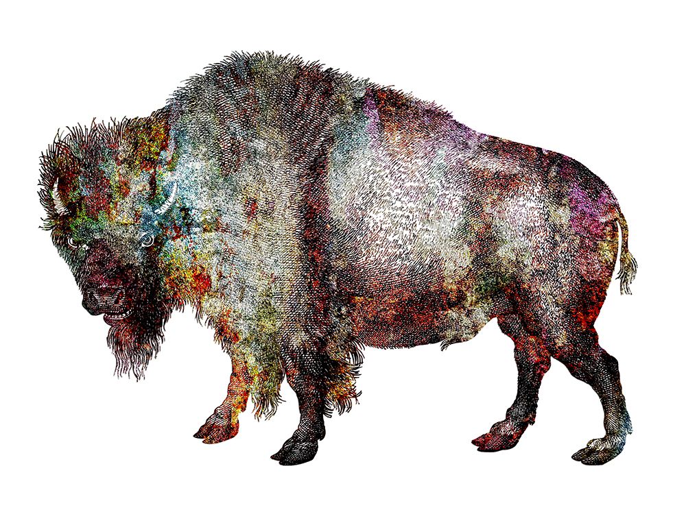 Rustic Bison 5 art print by Jamie Phillip for $57.95 CAD