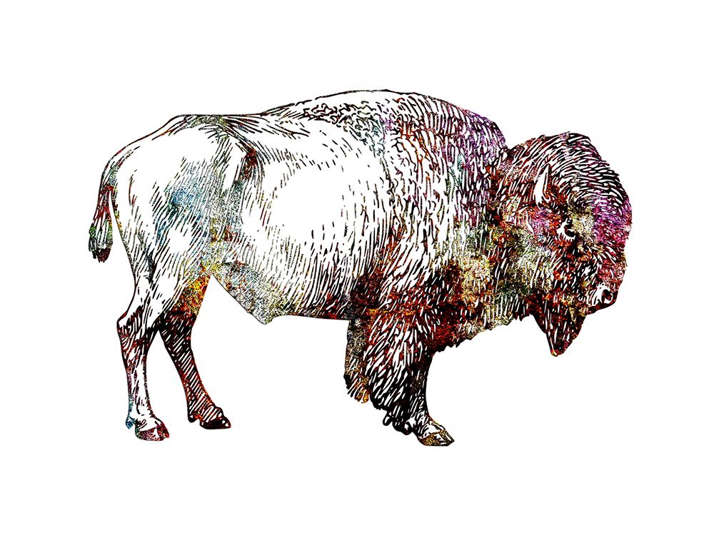 Rustic Bison 5 art print by Jamie Phillip for $57.95 CAD