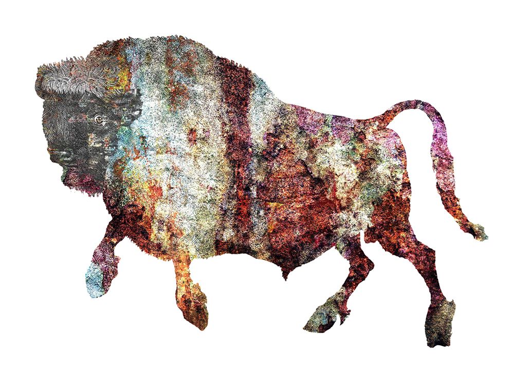 Rustic Bison 6 art print by Jamie Phillip for $57.95 CAD