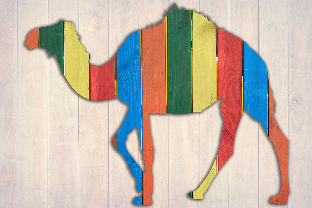 Camel 1 art print by Jamie Phillip for $57.95 CAD