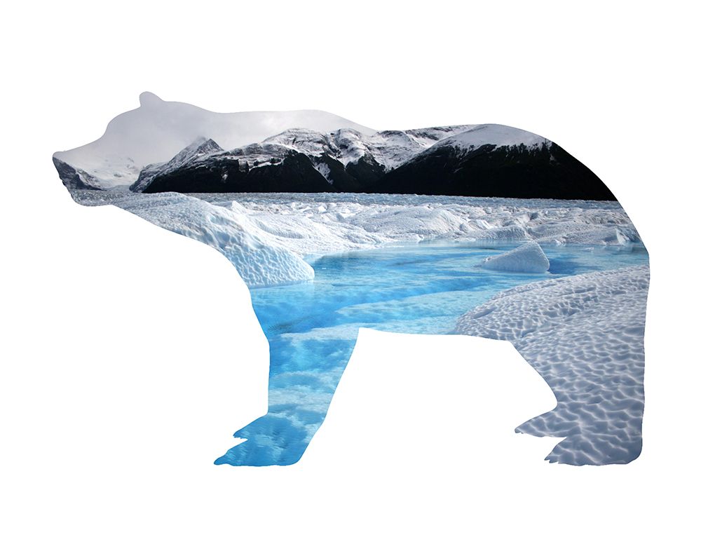 Polar Bear 2 art print by Jamie Phillip for $57.95 CAD
