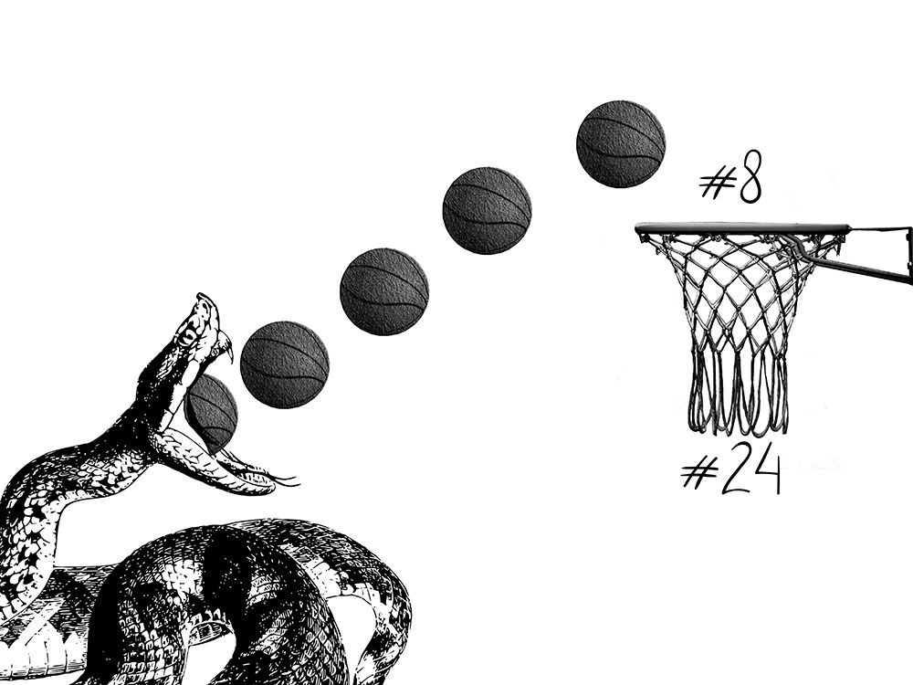Mamba art print by Jamie Phillip for $57.95 CAD