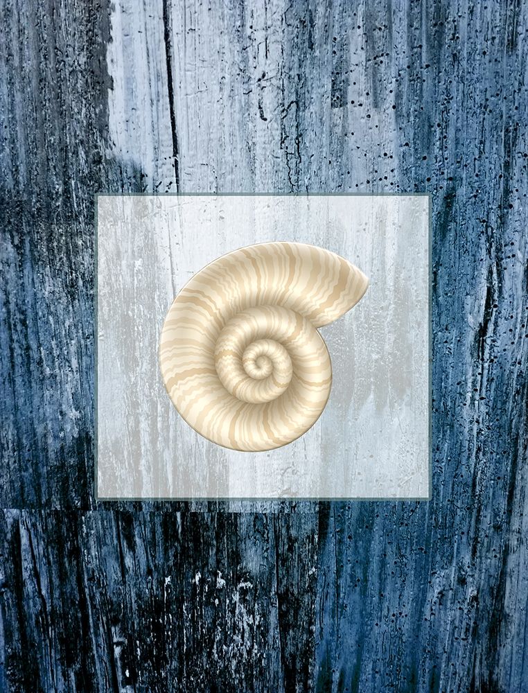 Sea Shell art print by Jamie Phillip for $57.95 CAD