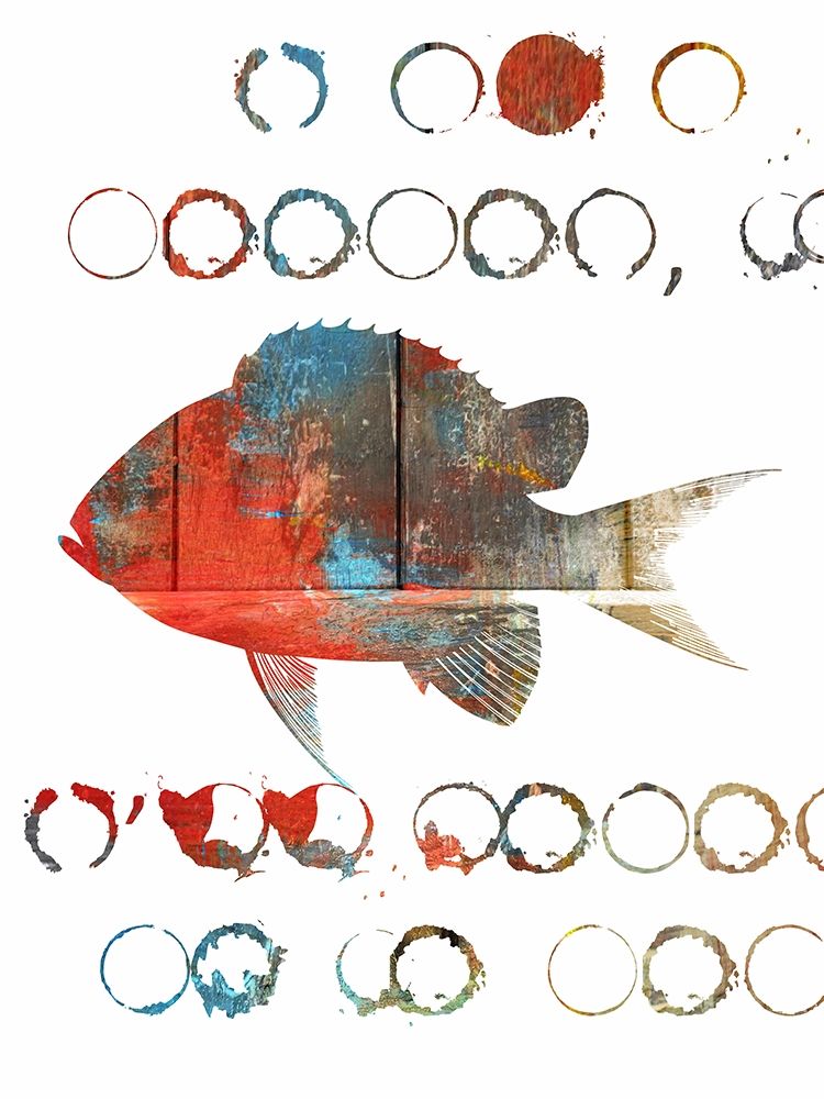 Fish Abstract art print by Jamie Phillip for $57.95 CAD