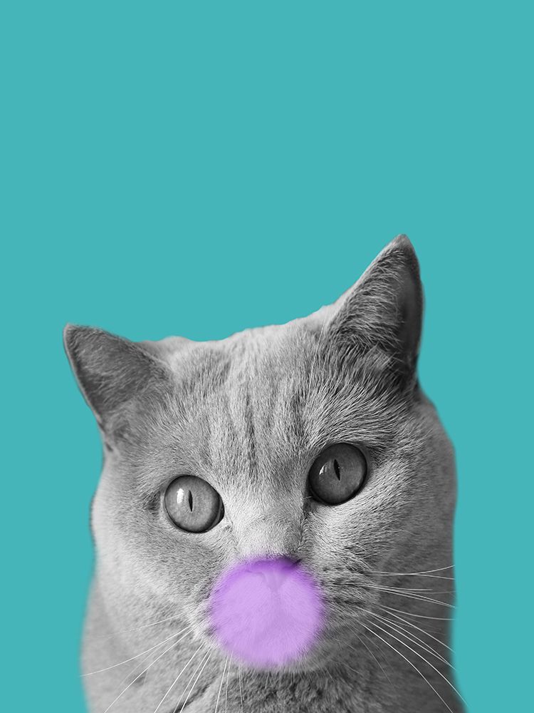 Bubble Cat art print by Jamie Phillip for $57.95 CAD