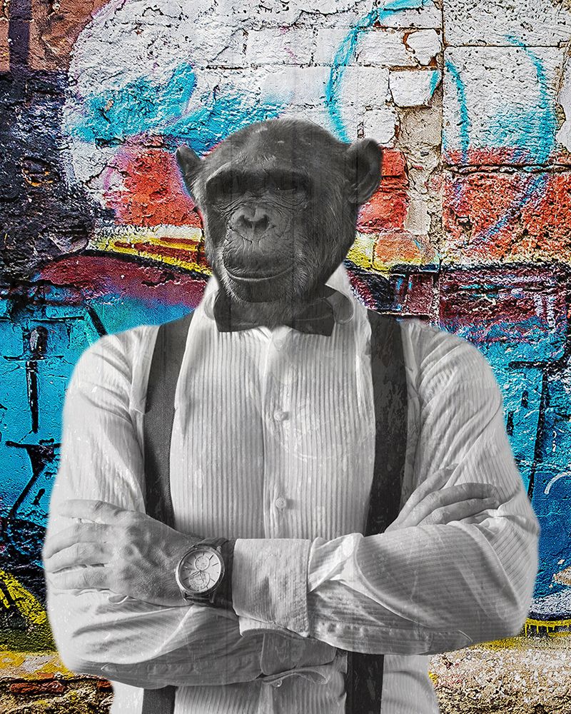 Street Monkey 2 art print by Jamie Phillip for $57.95 CAD
