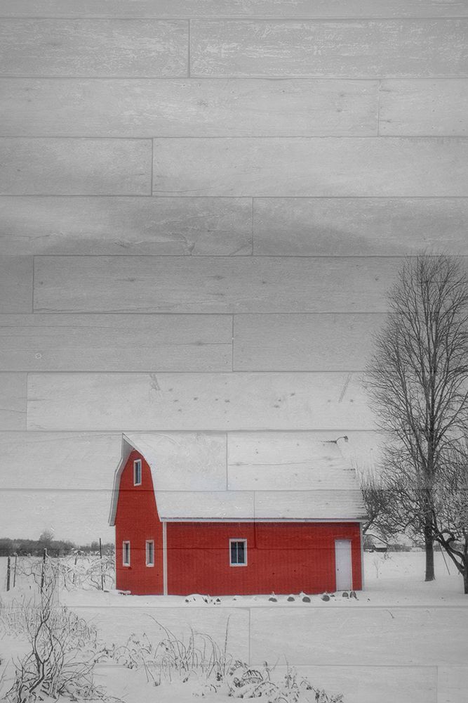 Red Barn art print by Jamie Phillip for $57.95 CAD