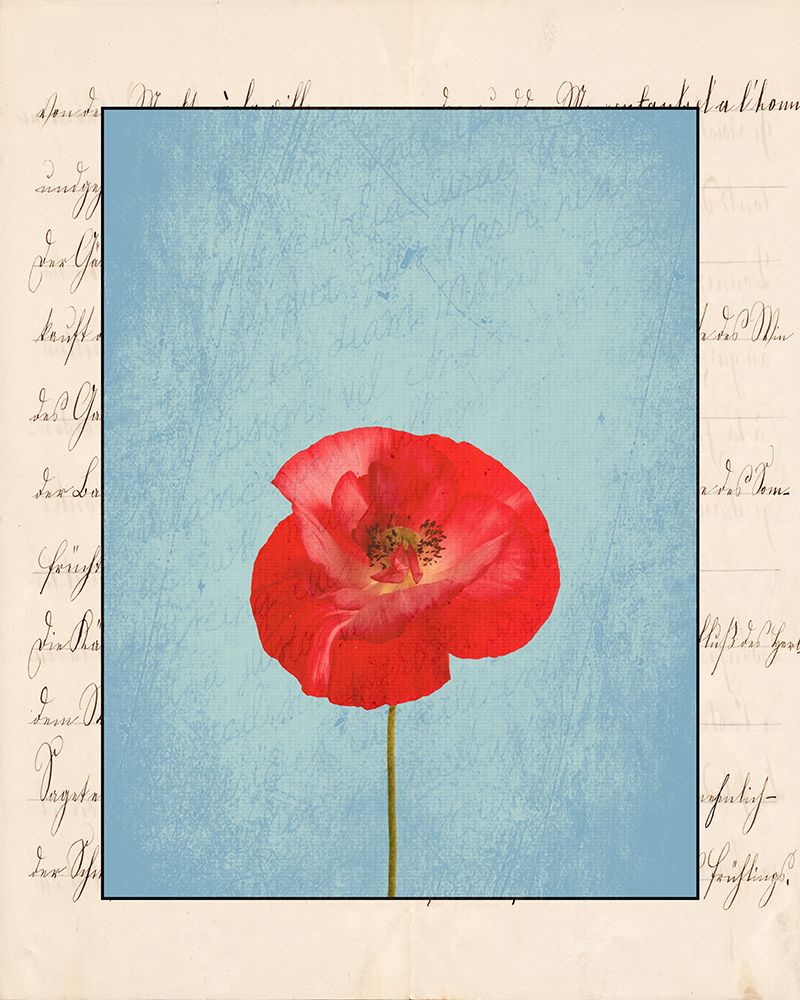 Red Flower art print by Jamie Phillip for $57.95 CAD