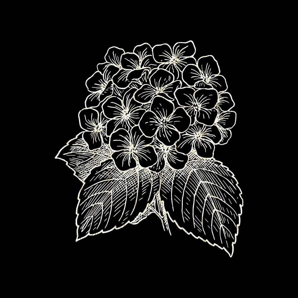 Black Silk 3 art print by Jamie Phillip for $57.95 CAD