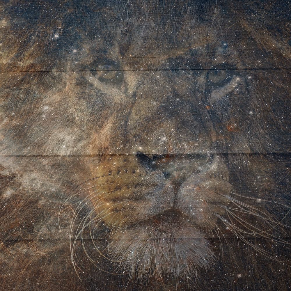 Leo art print by Jamie Phillip for $57.95 CAD