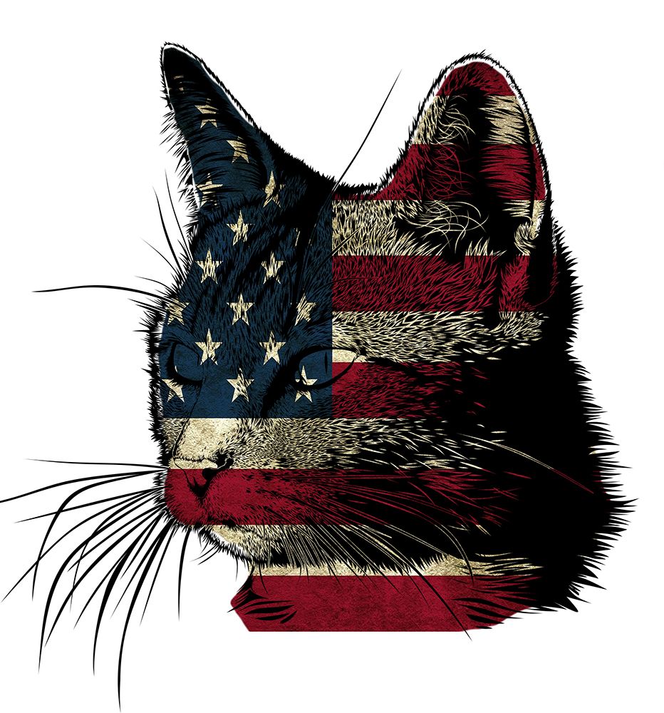 American Cat 2 art print by Jamie Phillip for $57.95 CAD
