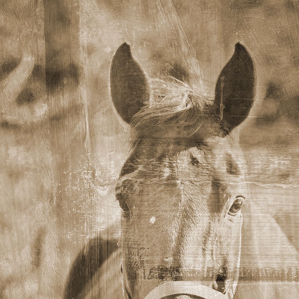 Sepia Horse art print by Jamie Phillip for $57.95 CAD