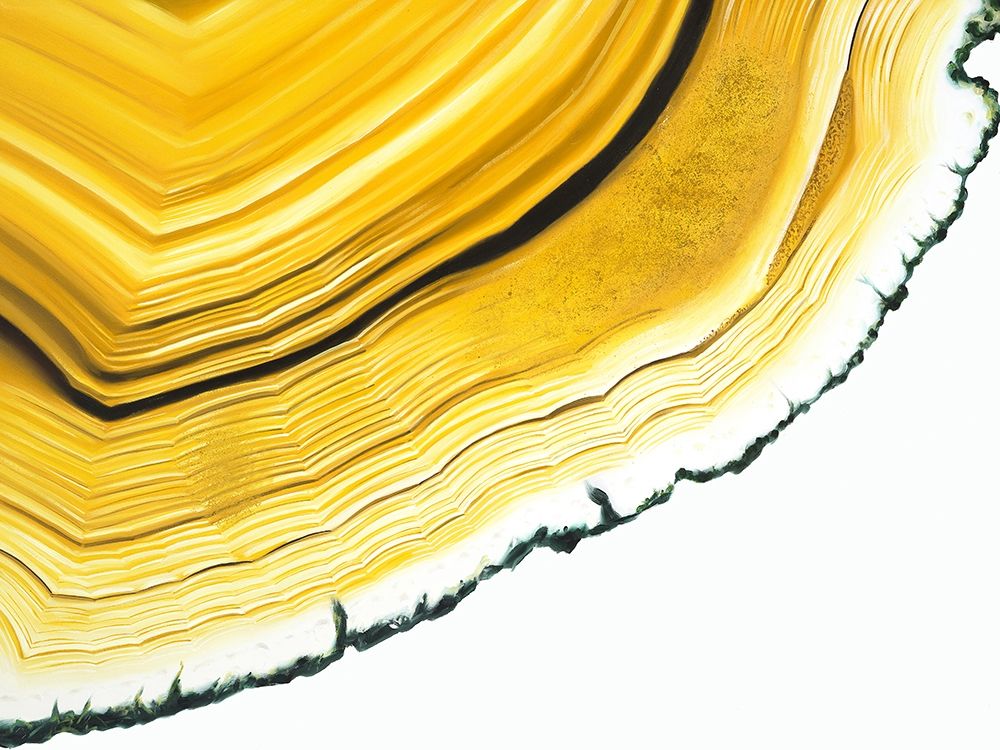 Agate Section art print by Urban Road for $57.95 CAD