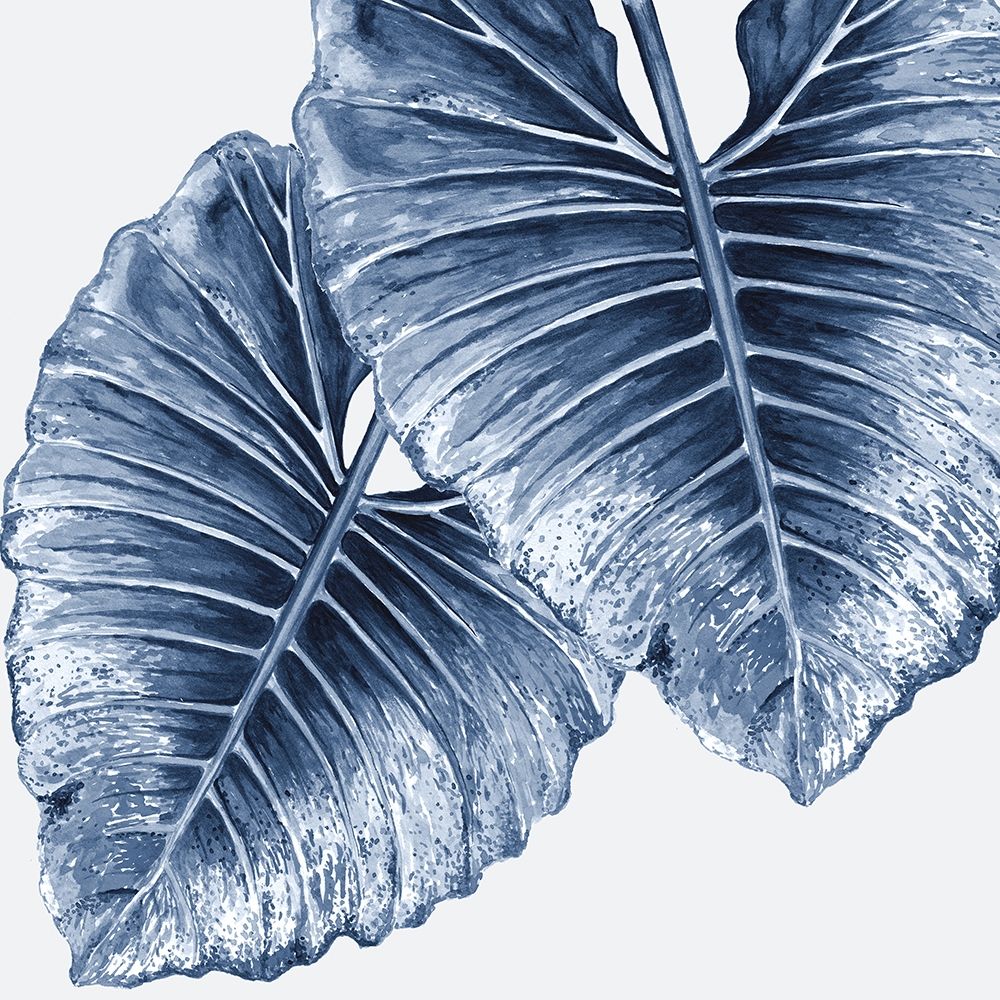 Royal Elephant Ears Poster art print by Urban Road for $57.95 CAD