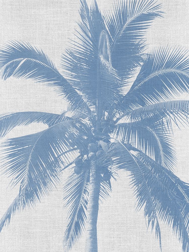 Denim Palms II Poster art print by Urban Road for $57.95 CAD