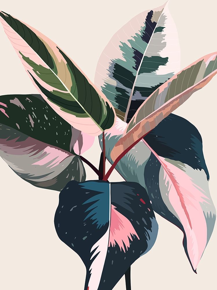 Pink Ficus Poster art print by Urban Road for $57.95 CAD