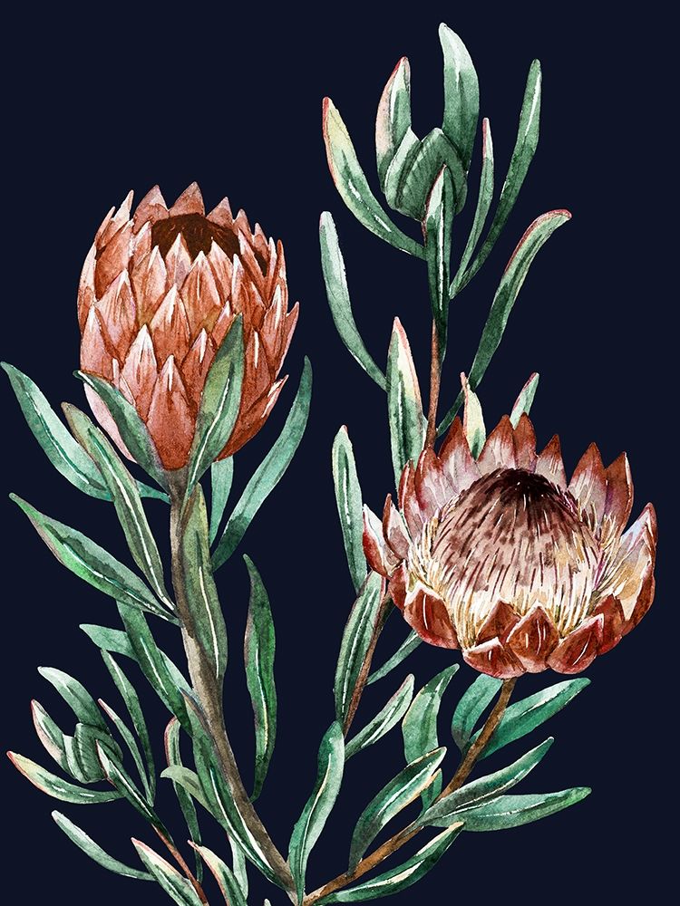 Dark Proteas I Poster art print by Urban Road for $57.95 CAD