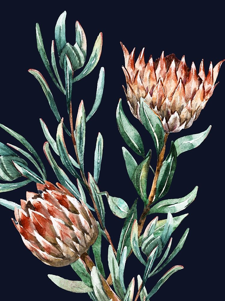 Dark Proteas II Poster art print by Urban Road for $57.95 CAD