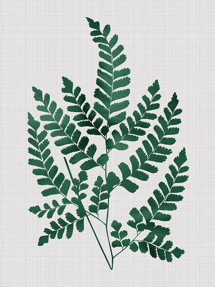 Chestnut Green Poster art print by Urban Road for $57.95 CAD