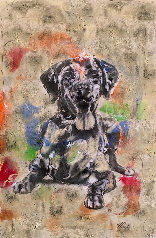 Colorful Dog II art print by Marta Wiley for $57.95 CAD