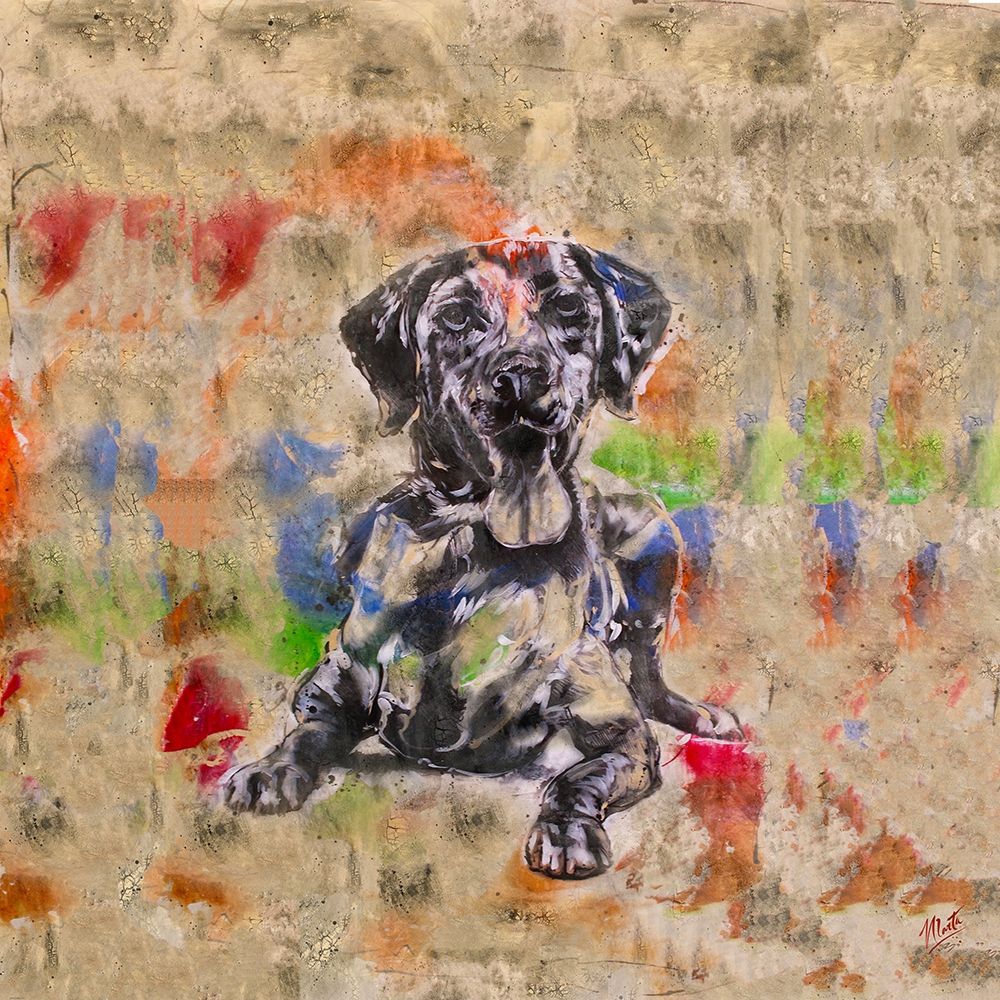 Colorful Dog IV Square art print by Marta Wiley for $57.95 CAD