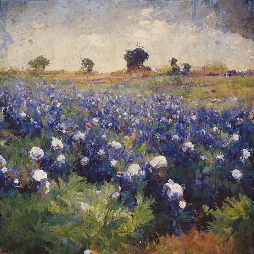 Texas-Bluebonnets I art print by Marta Wiley for $57.95 CAD