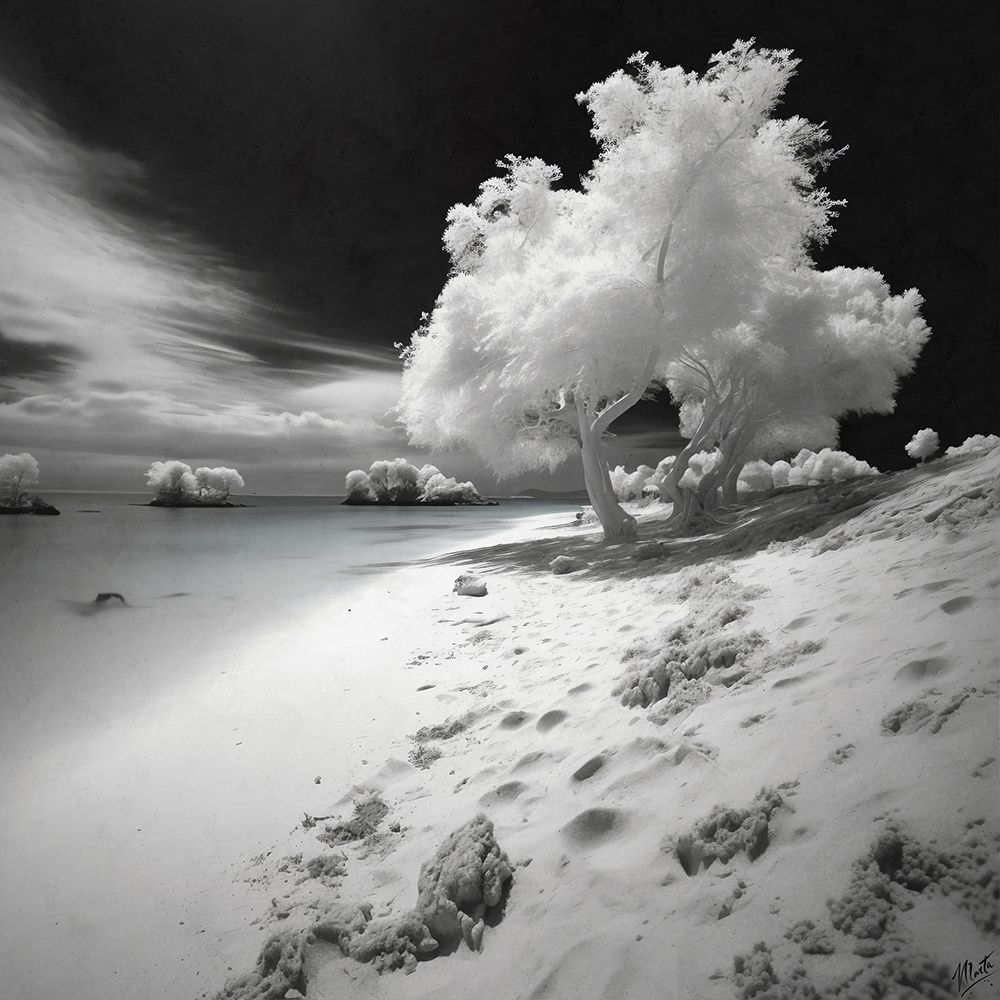 Infrared Beach II art print by Marta Wiley for $57.95 CAD