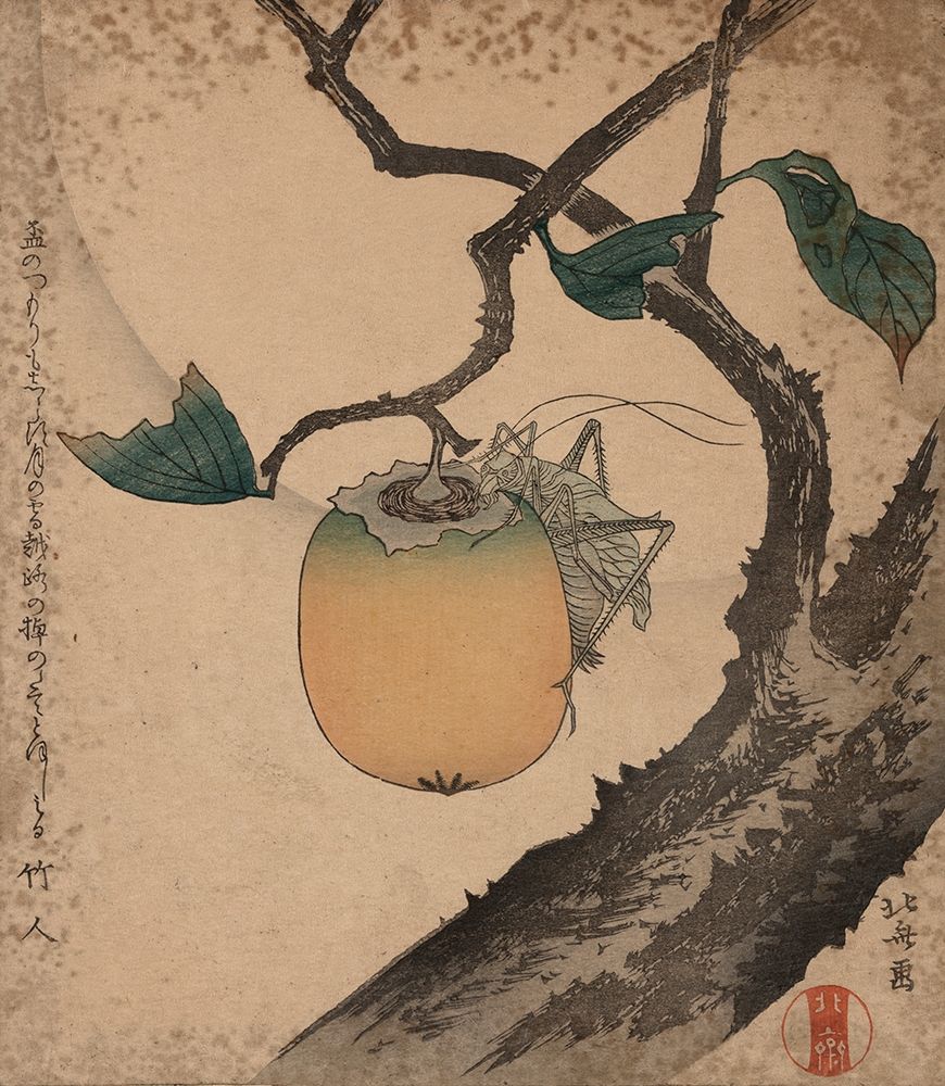 Grasshopper eating persimmon, 1850 art print by Hokusai for $57.95 CAD