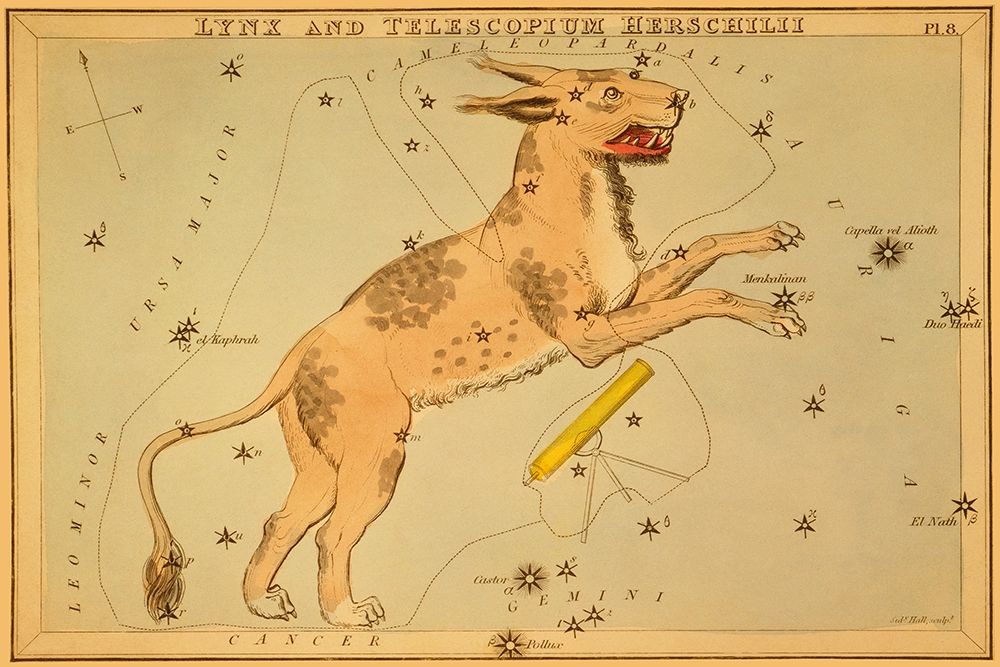 Lynx and Telescopium Herschilii, 1825 art print by Jehoshaphat Aspin for $57.95 CAD