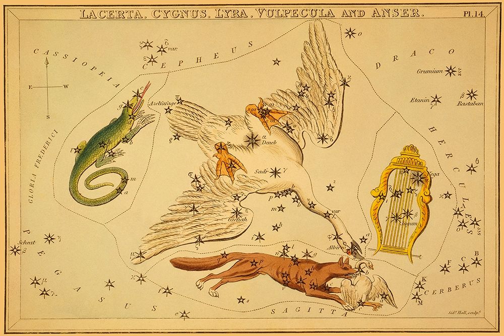 Lacerta, Cygnus, Lyra, Vulpecula and Anser, 1825 art print by Jehoshaphat Aspin for $57.95 CAD