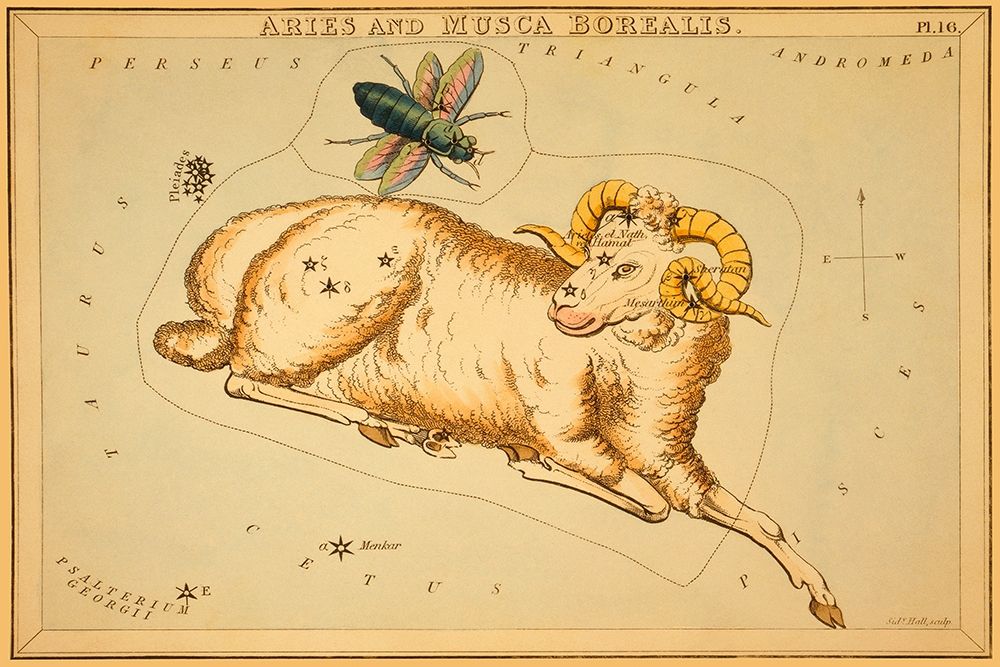 Aries and Musca Borealis, 1825 art print by Jehoshaphat Aspin for $57.95 CAD