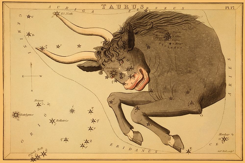 Taurus the Bull, 1825 art print by Jehoshaphat Aspin for $57.95 CAD
