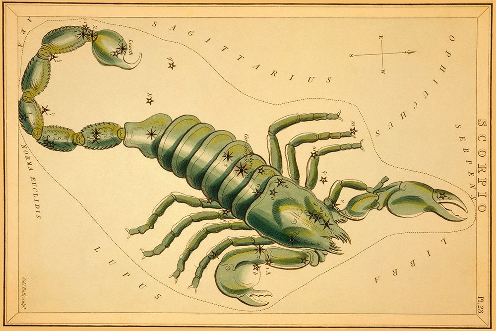 Scorpio, 1825 art print by Jehoshaphat Aspin for $57.95 CAD