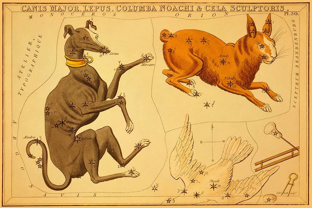 Canis Major, Lepus, Columba Noachi and Cela Sculptoris, 1825 art print by Jehoshaphat Aspin for $57.95 CAD