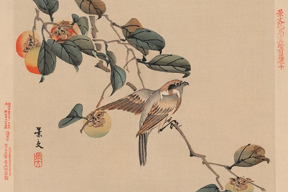 Bird perched on a branch from a fruit persimmon tree., 1892 art print by Keibun Matsumura for $57.95 CAD