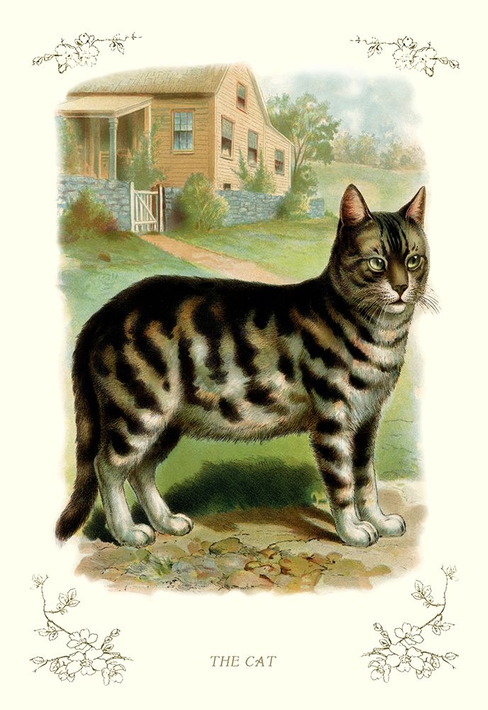 The Cat, 1900 art print by Unknown for $57.95 CAD