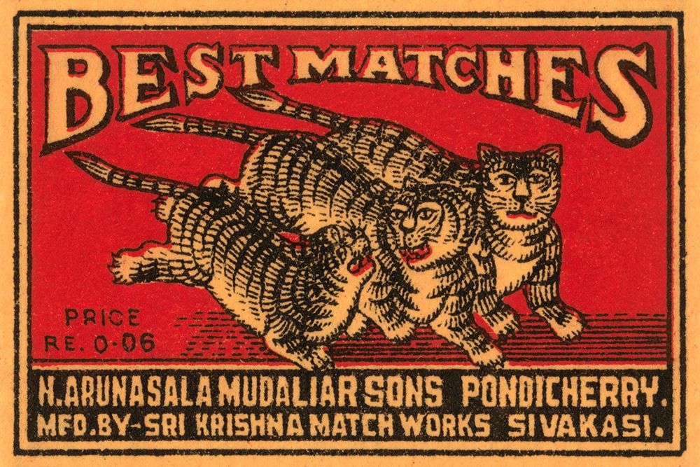 Three Tiger - Best Matches art print by Phillumenart for $57.95 CAD