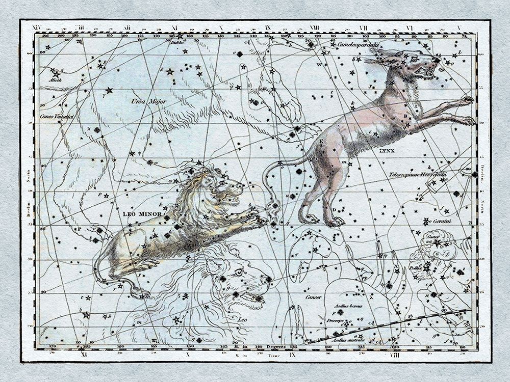 Maps of the Heavens: Leo Minor art print by Alexander Jamieson for $57.95 CAD