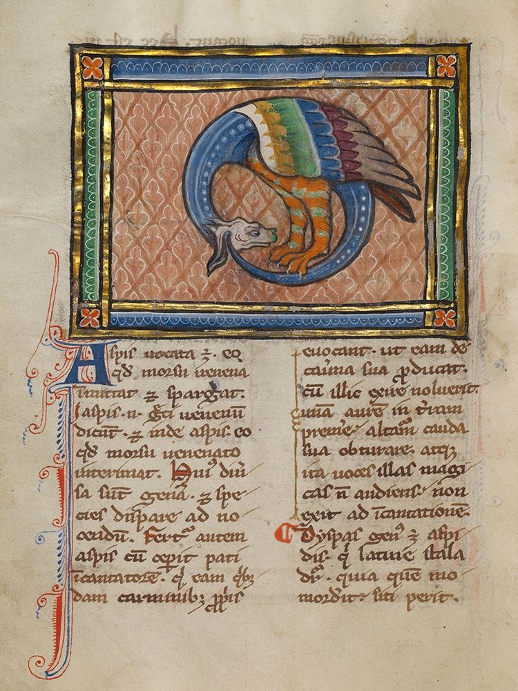 A Dragon-like Snake art print by Franco-Flemish 13th Century for $57.95 CAD