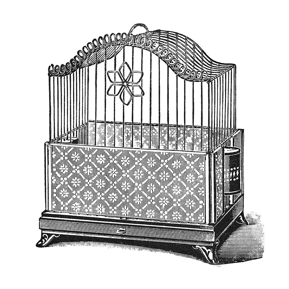 Etchings: Birdcage - Flower detail. art print by Catalog Illustration for $57.95 CAD