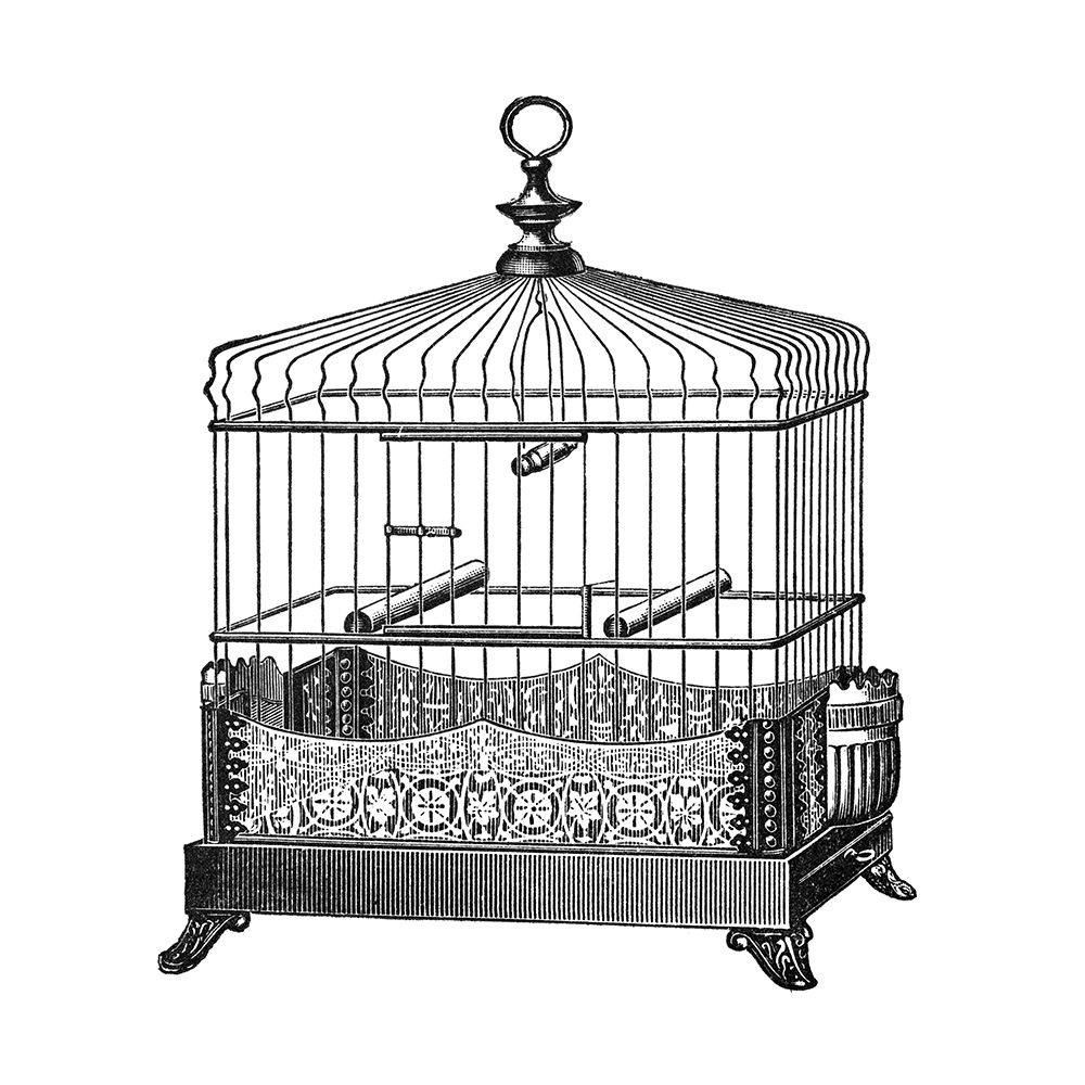 Etchings: Birdcage - Filigree base. art print by Catalog Illustration for $57.95 CAD