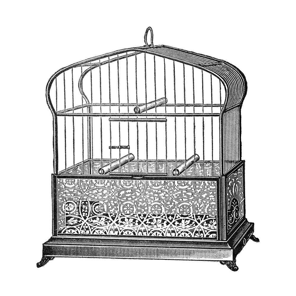 Etchings: Birdcage - Onion-peak top, filigree pattern base art print by Catalog Illustration for $57.95 CAD