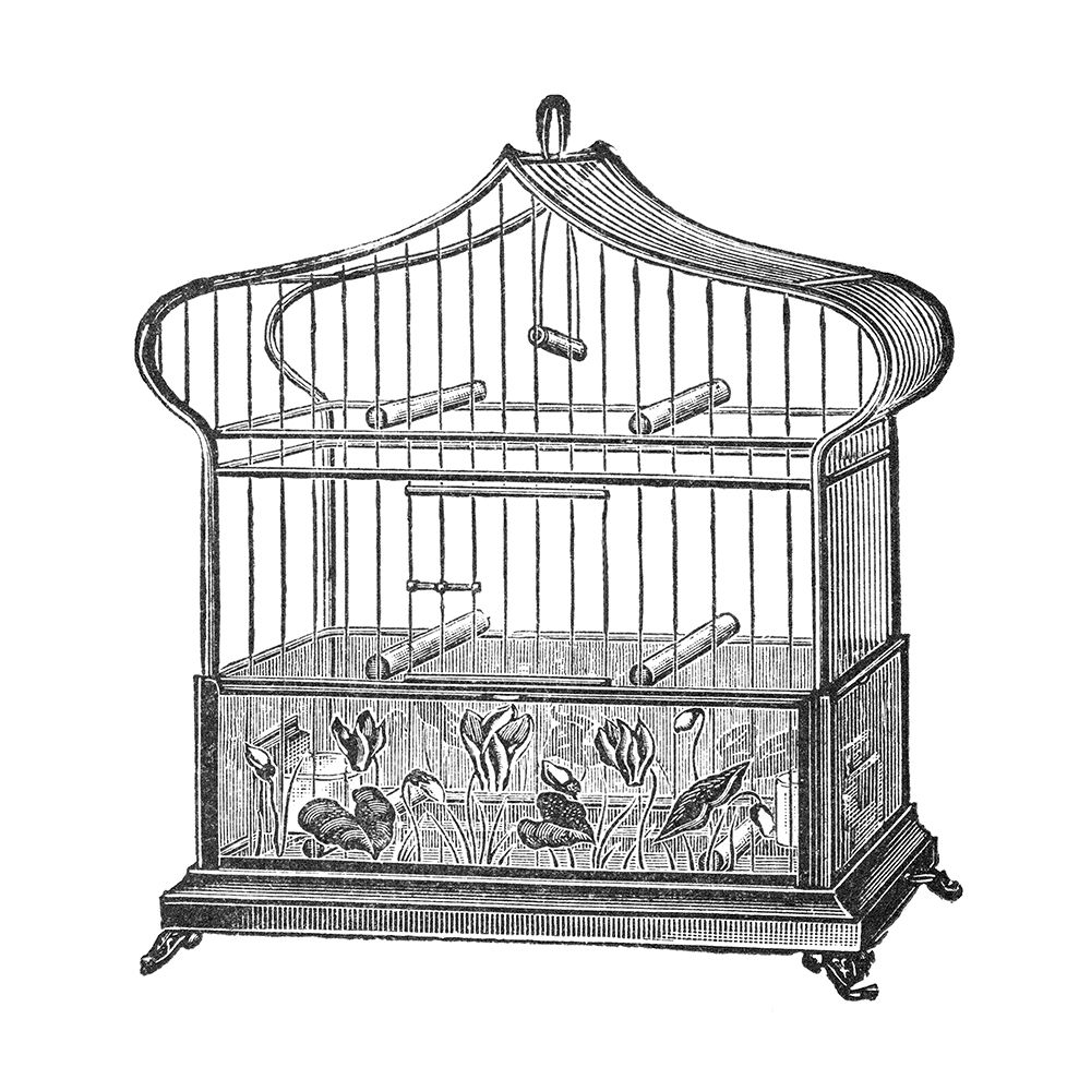 Etchings: Birdcage - Onion-peak top, floral base. art print by Catalog Illustration for $57.95 CAD