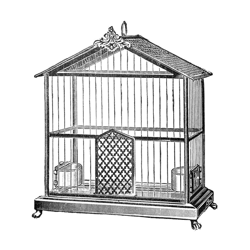 Etchings: Birdcage - Peaked top. art print by Catalog Illustration for $57.95 CAD
