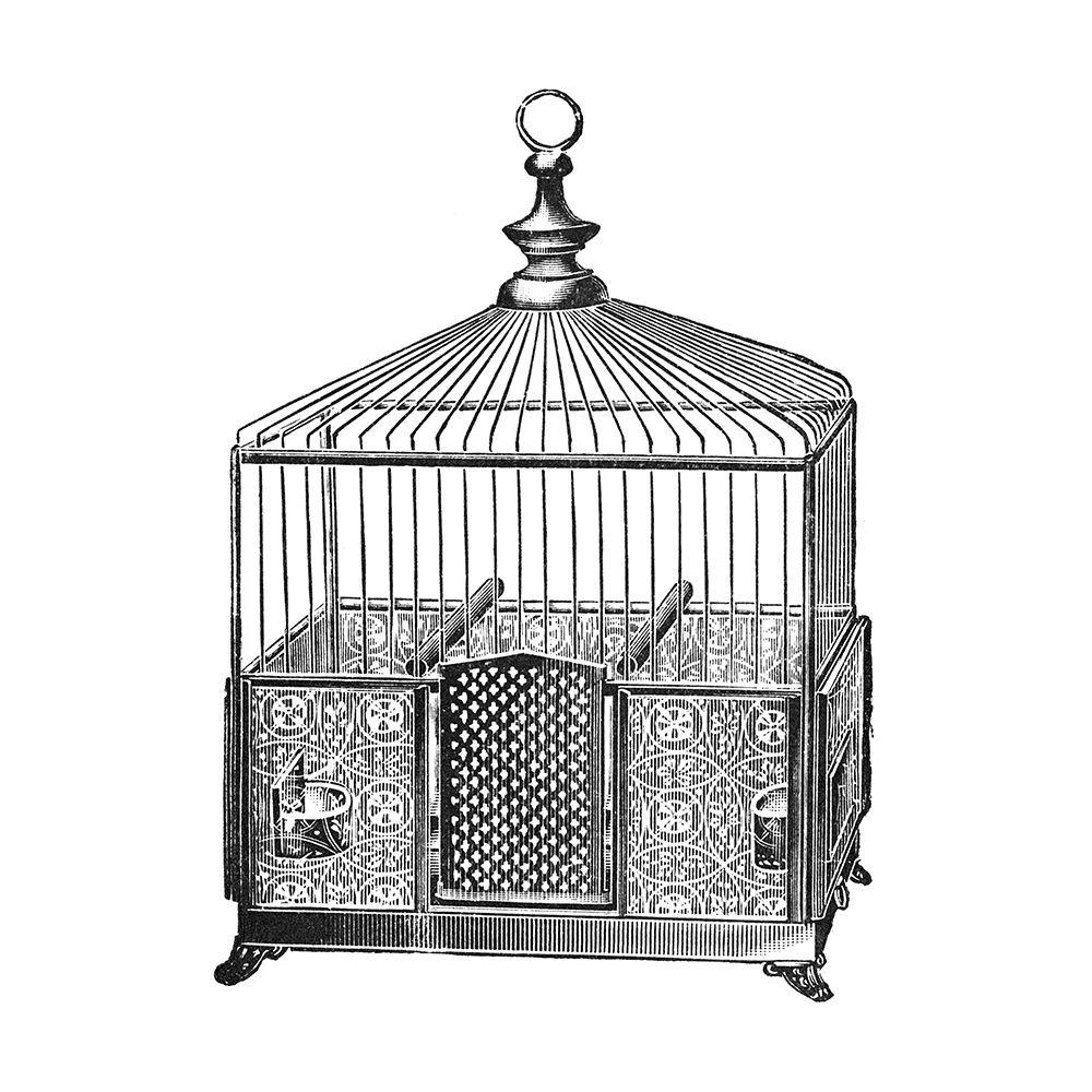 Etchings: Birdcage - Pyramidal top, patterned base. art print by Catalog Illustration for $57.95 CAD