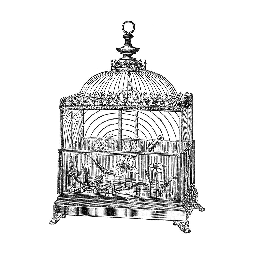 Etchings: Birdcage - Dome top, floral base, filigree detail. art print by Catalog Illustration for $57.95 CAD