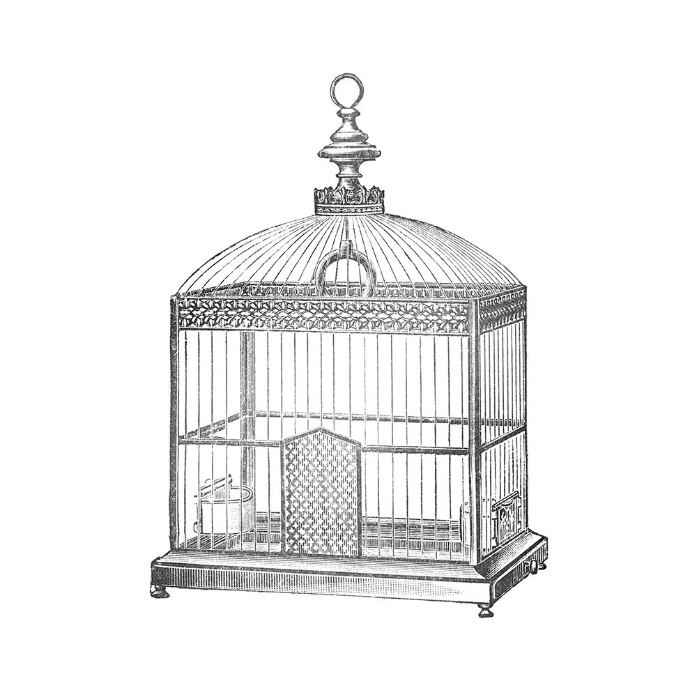 Etchings: Birdcage - Arched top, filigree detail. art print by Catalog Illustration for $57.95 CAD